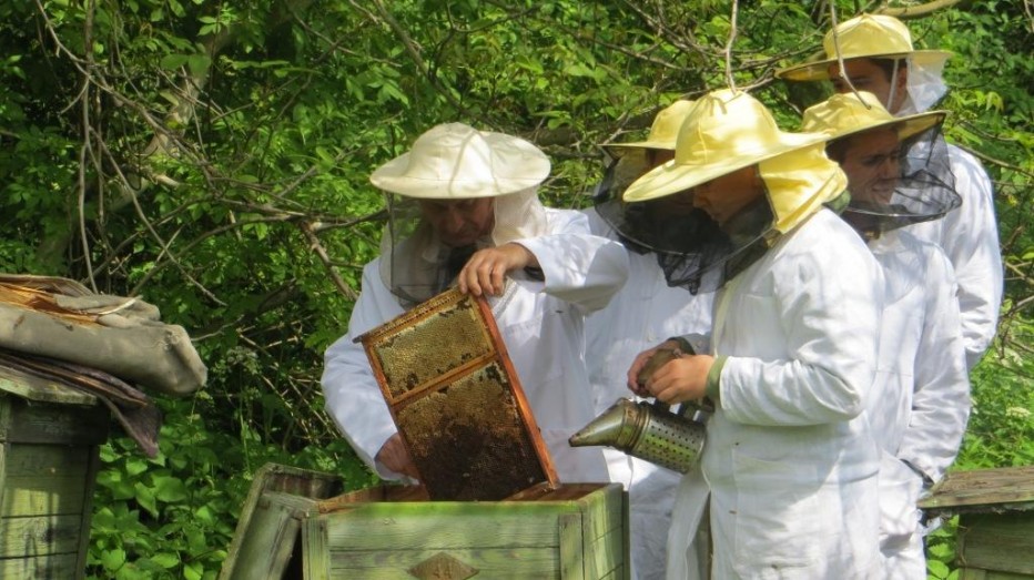 Warsztaty pszczelarskie