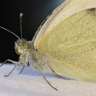 Przyroda na wakacje i w obiektywie
