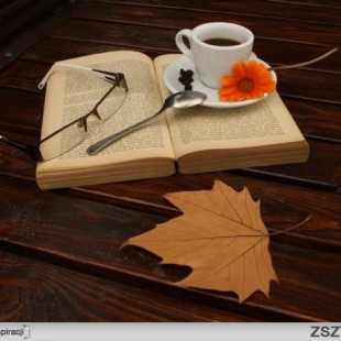 Inauguracyjne spotkanie Dyskusyjnego Klubu Książki – jesteś zaproszony