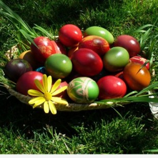 Radosnych Świąt Wielkiej Nocy