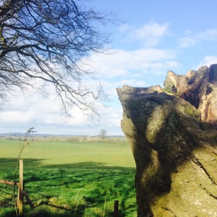 Erasmus+ wspomnienia uczestników