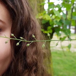 Maturzyści – Gratulacje!