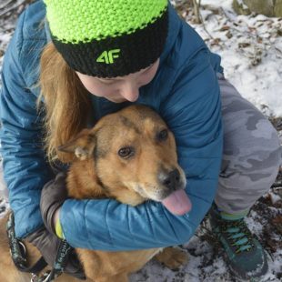 Naszym mniejszym braciom