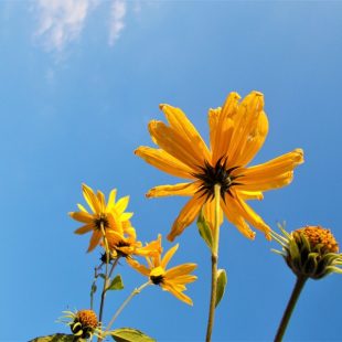 Witamy wiosnę z pomysłem