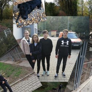 Z sympatii do czworonogów