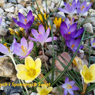 Zdrowia, radości i bliskości!