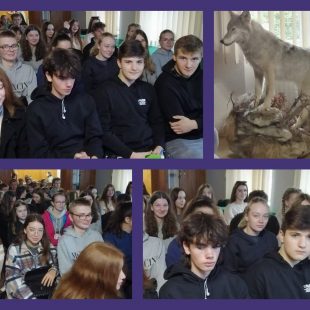 O wilkach, z wilkami i dla wilków