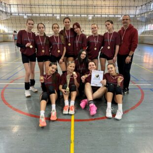 Mistrzynie powiatu w siatkówce!